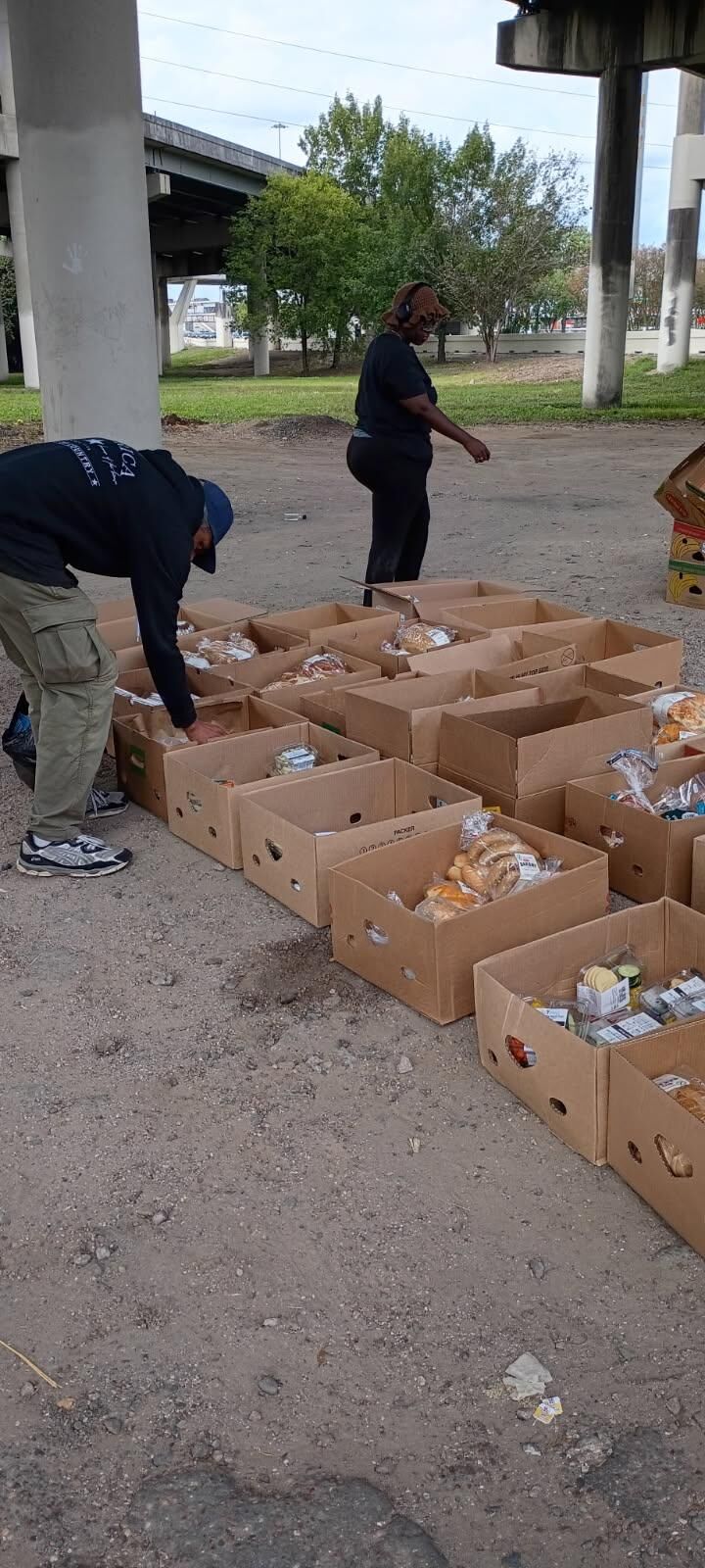 Rows of food boxes ready for distribution